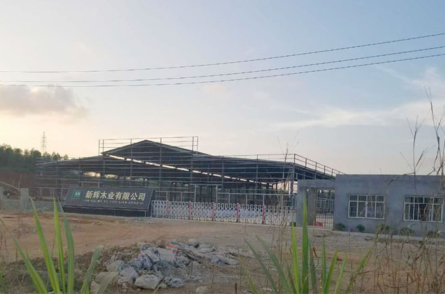 廣西崇左市新輝木業(yè)有限公司（那造中）